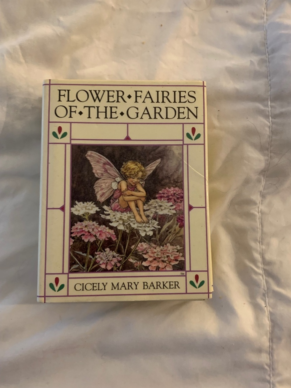 Flower Fairies 6 Book Set